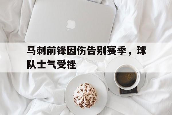 马刺前锋因伤告别赛季，球队士气受挫的简单介绍